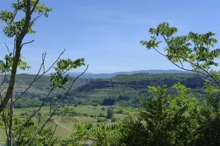 Kleines Steinhaus in Chambonas / Les Cades, Maison en Pierre en France avec Piscine & Vignes - Photo 10
