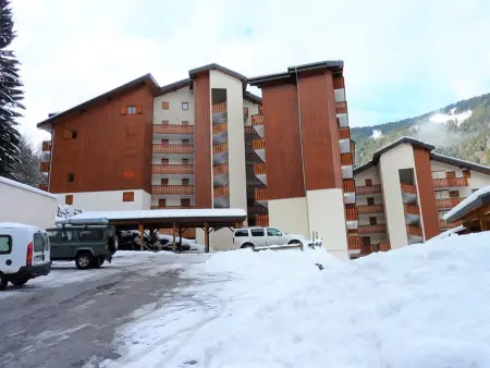 Appartement 3 pièces près des pistes avec balcon - Saint-Jean-d'Aulps - Photo 18
