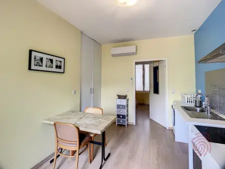 Charmant F2 climatisé avec terrasse, proche Thermes, parking privé, animaux acceptés - Photo 1