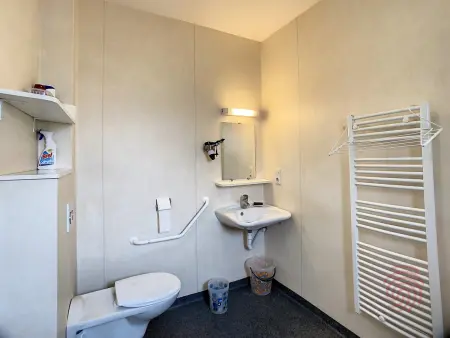 Charmant F2 climatisé avec terrasse, proche Thermes, parking privé, animaux acceptés - Photo 4