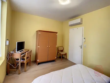 Charmant F2 climatisé avec terrasse, proche Thermes, parking privé, animaux acceptés - Photo 10