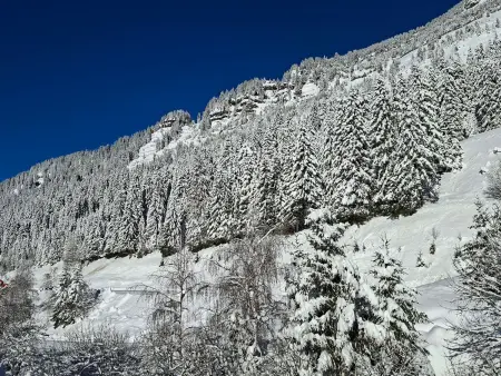 Studio rénové à Flaine - 4 pers. proche des pistes - Photo 8