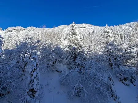 Studio confortable proche des pistes, idéal pour 4 personnes - Photo 10