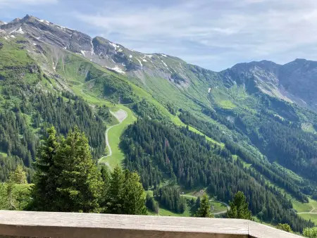 2 pièces avec vue sur vallée, balcon sud-ouest, proche commodités - Photo 15