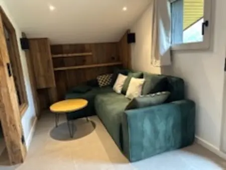 Appartement skis aux pieds, 2 cabines, WiFi, animaux admis - Photo 7