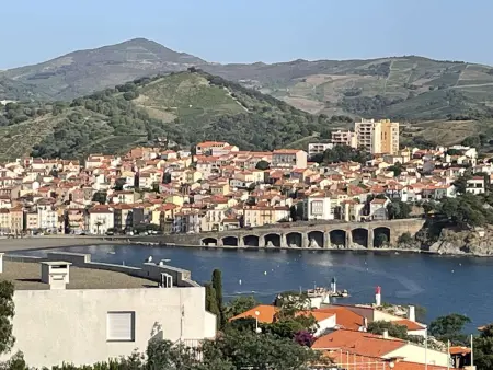 Appartement rénové avec vue mer, 2 pièces à Banyuls-sur-Mer - Photo 18