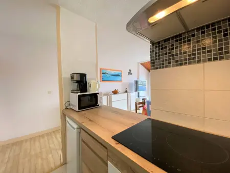 Appartement avec WIFI, parking, balcon-terrasse et ascenseur à Perros-Guirec - Photo 14
