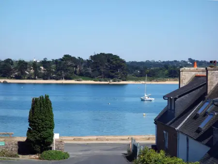 Appartement VUE MER avec balcon, WIFI et parking à Trégastel - Photo 9