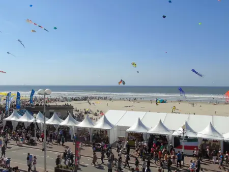 Appart T2 rénové front de mer avec balcon et parking à Berck-Plage - Photo 6