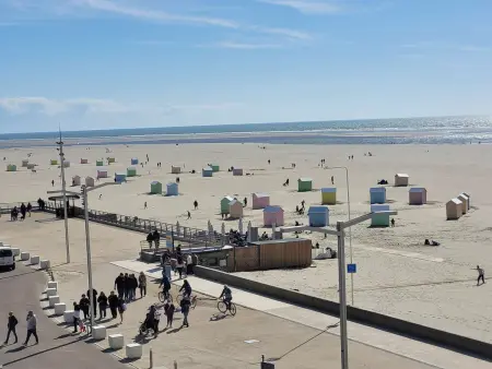 Charmant T2 à Berck-sur-Mer avec balcon face à la mer - Photo 9