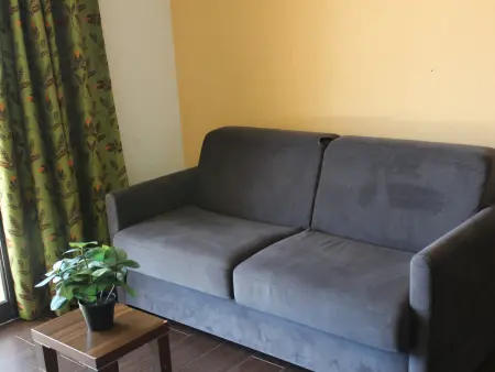 Studio 4 pers avec terrasse, piscine et animaux admis - Photo 3