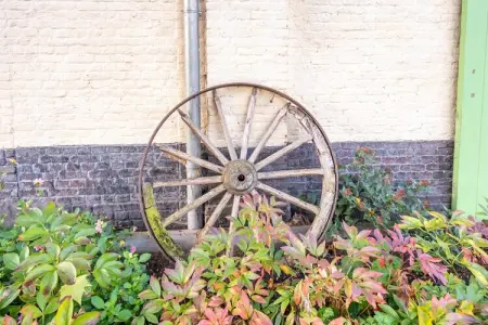 De Kolonist, Appartement à Wortel Hoogstraten - Photo 39