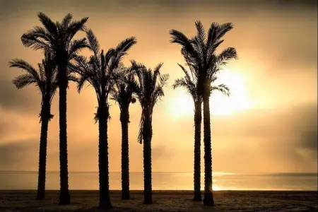 Residencial Mediterraneo, Appartement à Roquetas près plage - Photo 32