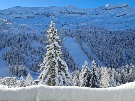 Appartement confortable au pied des pistes avec Wifi gratuit - Photo 11