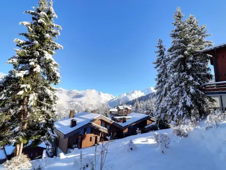 2 Pièces Confortable, Skis aux Pieds, Balcon, 4 Pers. - Photo 8