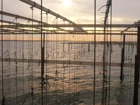 Appartement 2 Pièces avec Piscine et Parking à Sète - Photo 23