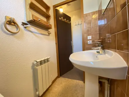 Charmant T2 proche centre et pistes, balcon sud, Appartement 4 personnes à Praz sur Arly - Photo 7