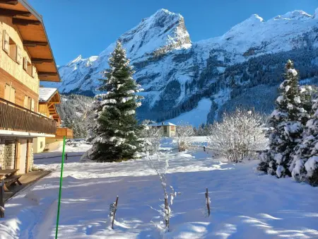 Rez-de-jardin ensoleillé, 3 pièces, proche centre et pistes, animaux acceptés - Photo 14