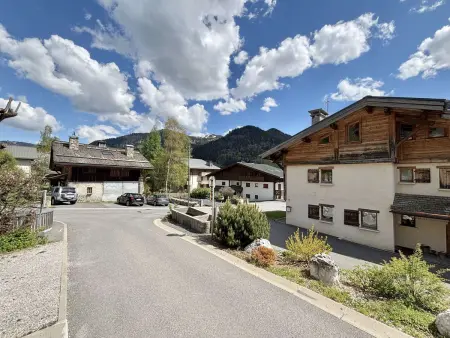 Appartement cosy à Praz-sur-Arly, 2 pièces, proche village - Photo 18