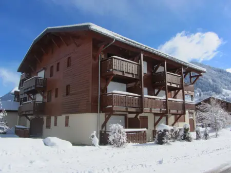 Studio cabine à Praz-sur-Arly, 4 pers, parking, Appartement 4 personnes à Praz sur Arly - Photo 12