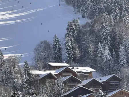 Appartement ski aux pieds, 3 pièces, 6 pers, terrasse sud, près des Carroz - Photo 11