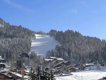 Appartement ski aux pieds, 3 pièces, 6 pers, terrasse sud, près des Carroz - Photo 12
