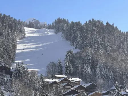 Charme au centre d'Arâches : 2 pièces + coin montagne, 4/5 pers, proche pistes et commerces - Photo 11