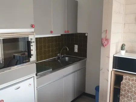 Studio chaleureux, balcon sud, 4 pers., proche centre et pistes - Les Carroz - Photo 3