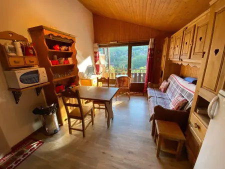 Studio 4 pers. sur les pistes avec balcon et parking - Photo 4