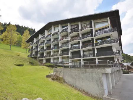 Studio 4 pers. proche pistes Morzine, Appartement 4 personnes à Morzine - Photo 8