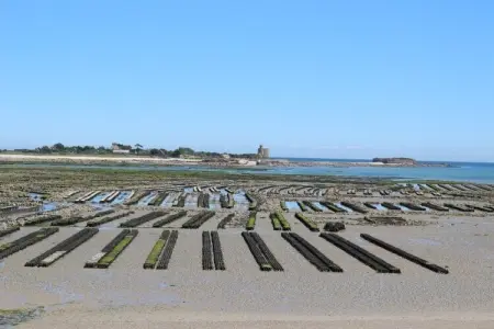 APPARTEMENT DUPLEX CHEZ LAURETTE, Retraite sur l'île de Tatihou - Photo 25