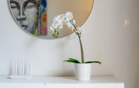 Appartement 5 personnes à Orihuela - Photo 10