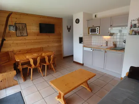 Appartement au pied des pistes, terrasse, calme, 4 pers, Arêches-Beaufort - Photo 4