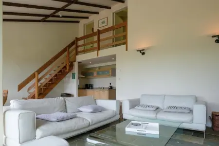 Le Vieux Sart 29, Grande maison de vacances spacieuse - Photo 4