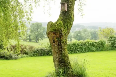 Ferme Bellevue, Gîte boutique avec jardin clôturé à Trois Ponts en Belgique - Photo 26