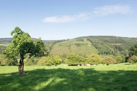 Le Loft, Maison à Moulin du Ruy avec vue sur forêt - Photo 20