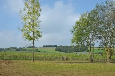 Petit Coin de Paradis, Maison de vacances avec sauna à Somme-Leuze - Photo 17