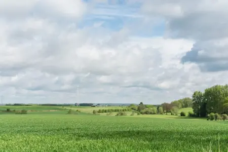 La Rose, Ferme paisible de Fontenelle - Photo 31