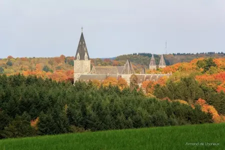La Rose, Ferme paisible de Fontenelle - Photo 36