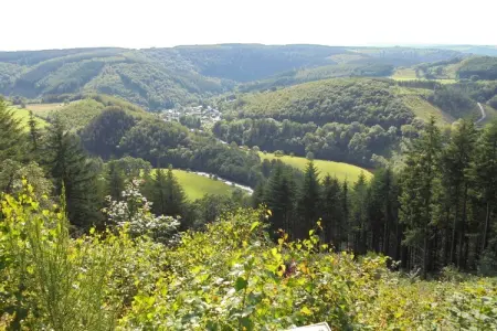 Le Domaine des Arts, Magnifique et Authentique Cottage - Photo 16