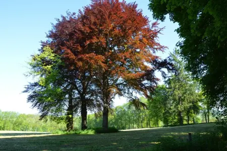 La Hetraie, Château de charme à Roumont - Photo 22