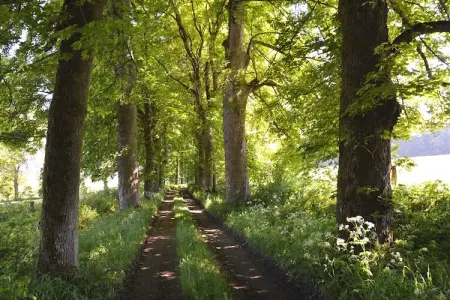 La Hetraie, Château de charme à Roumont - Photo 23