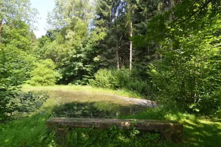 Le Martin Pêcheur, Villa Familiale avec Jardin - Photo 27