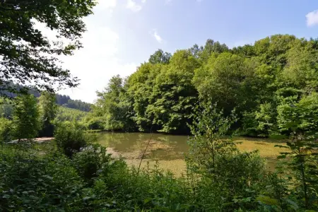 Le Martin Pêcheur, Villa Familiale avec Jardin - Photo 30