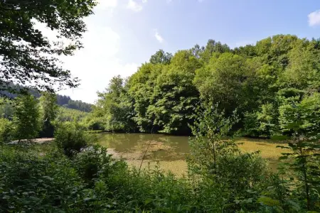 La Buresse, Chalet forestier avec étangs - Photo 21