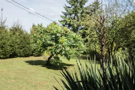 Villa Agni 25, Maison de vacances à Durbuy avec sauna - Photo 29