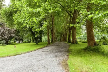 Domaine De L'Ecureuil 1, Escapade nature à Bohon - Photo 10