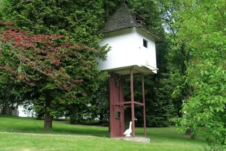 Domaine De L'Ecureuil 1, Escapade nature à Bohon - Photo 19