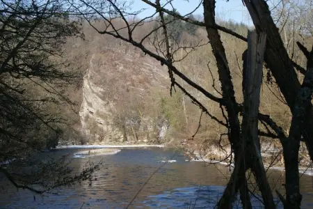 Domaine De L'Ecureuil 1, Escapade nature à Bohon - Photo 22