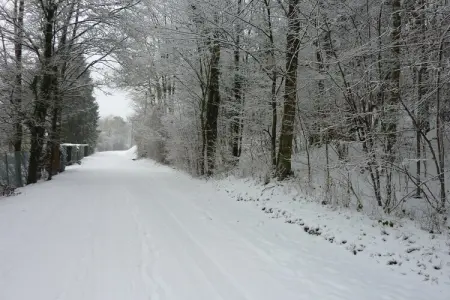Domaine De L'Ecureuil 3, Escapade douillette à Bohon - Photo 15
